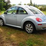 VW beetle customer love